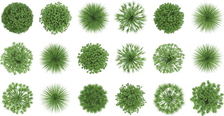 Top-Down Green Plant Collection with Diverse Leaf Shapes and Shrub Designs for Landscape Architecture, Garden Planning, and Environmental Illustration Use © Shafik Creatives