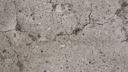 Showing weathered concrete slab revealing branching fissures and exposed aggregate on pavement
