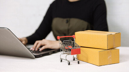 Person using laptop computer with mini shopping cart and cardboard boxes.