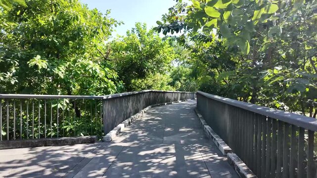 Walking on the sky bridge through Benchakitti forest Park in Bangkok, Thailand
