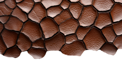 Brown Leather Texture on Transparent Background