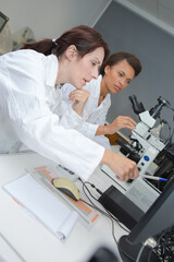 Naklejka premium women during research