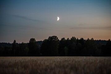 View of moon shining bright in sky at night