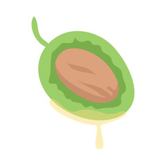 Green olive fruit with pit and oil drop on white isolated background vector illustration