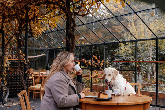 Woman drinking coffee with golden retriever in eco glasshouse cafe during autumn season - Powered by Adobe
