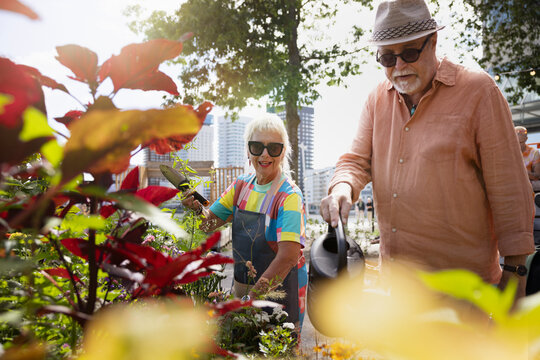 Mature woman holding trowel standing with man watering plants in garden at sunny day