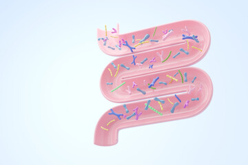 Healthy intestine with diverse probiotics bacteria and copy space for gut health concept. 3D render