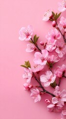 Naklejka premium Captivating pink cherry blossom branches against a soft pink background, exuding springtime beauty and elegance, perfect for nature-themed designs and floral aesthetics.