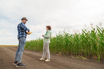 Obraz premium Owners of a farmland are looking at their field