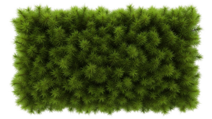 Lush green living wall background with textured foliage and natural patterns