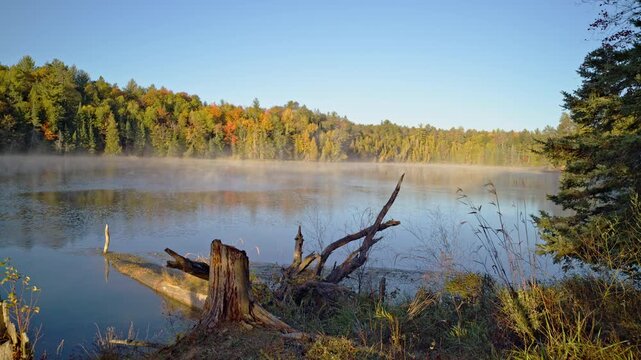 Cinematic aerial-style shot of the Au Sable River with mist at sunrise.
