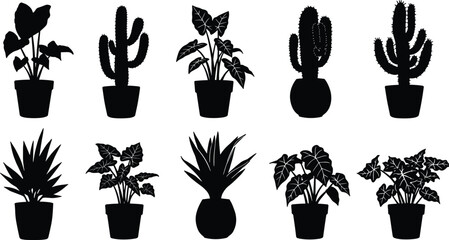 Black potted plant silhouette, cactus vector, indoor foliage outline, decorative leaves, botanical illustration, houseplant design, isolated shapes, nature art