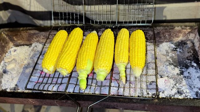 4K close up of golden corn roasting on a charcoal grill with glowing embers and ash showing detailed texture warm tones and a rustic outdoor cooking atmosphere.