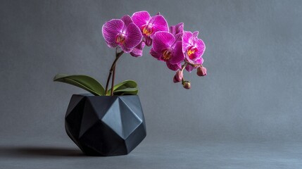 Captivating arrangement of vibrant pink orchids in a sleek black geometric pot, showcasing the beauty of nature and elegance in home decor on a muted backdrop.