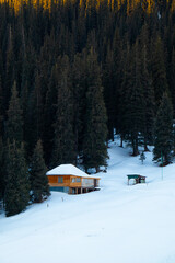 A small wooden house surrounded by a dense forest of tall pine trees in winter