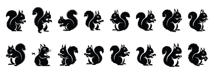 Set of vector naughty squirrel  icon in silhouettes