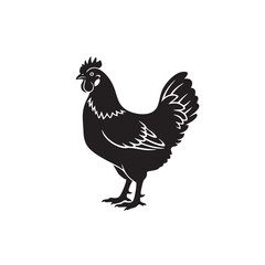 Chicken silhouette vector illustration. Black hen farm animal icon. Poultry logo symbol isolated on white background. Rooster or cockerel side view graphic design.
