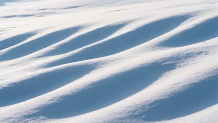 Scattered light and shadow spread across the winter snow; interwoven white and pale blue create a quiet and crisp atmosphere of the season.
