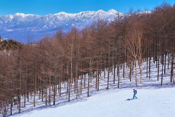 冬の長野県富士見町の入笠山の中腹から北東側の雪原斜面と八ヶ岳連峰方面を見る