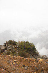 Vertical shot of a rugged rock formation with green vegetation standing out against a background of dense white mist and low clouds.