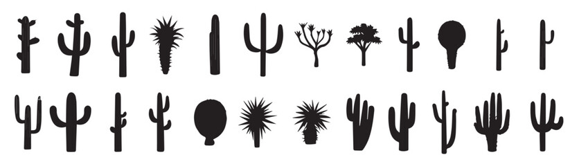 Fototapeta premium different type of cactus vector silhouette illustration 