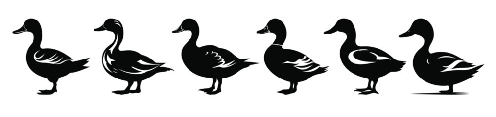 duck silhouette vector set goose black silhouettes bundle © Nameer