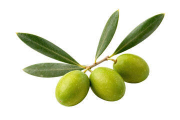 Fresh green olives with leaves on a white background