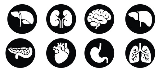 human organs and organs of the body icons set 