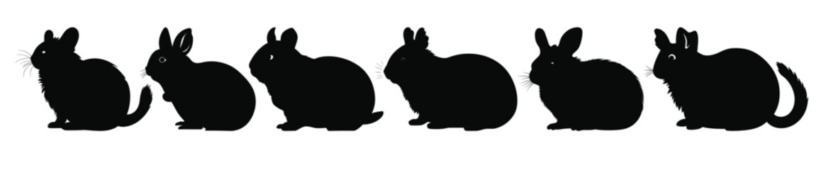  chinchilla silhouettes vector set hamster silhouette © Hslwasly