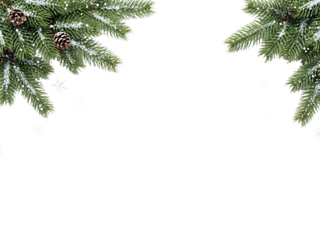 christmas background with fir branches transparent background 