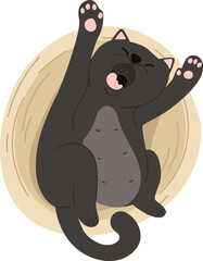 Black cat stretching on back