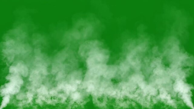 Soft white fog drifting over a bright green background, ideal for overlays and atmospheric effects