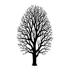 Obraz premium Detailed vector illustration of a bare winter tree silhouette with intricate branches, representing dormancy and natural beauty, ideal for seasonal designs and environmental themes and emblems