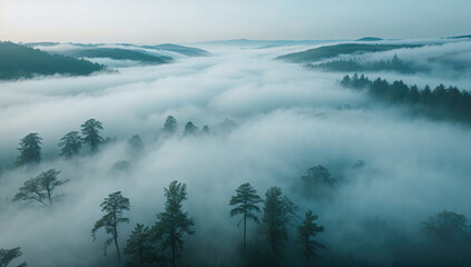 Aerial view of a misty forest valley shrouded in blue fog and distant hills