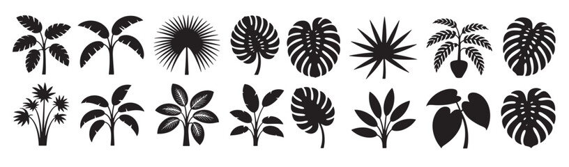  collection of tropical plant silhouettes © Kulva