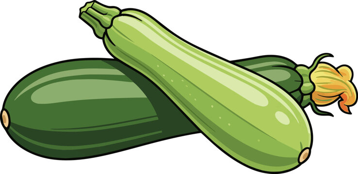 Create a Green zucchini pair vector art with white background.