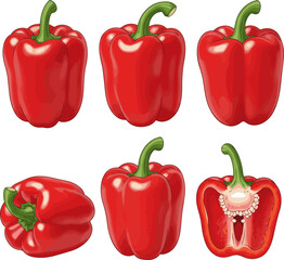 Create a kinds of deferent realistic fresh red bell pepper stands alone, featuring its vibrant color and green stem image is ideal for diverse design projects. vector art with white background.