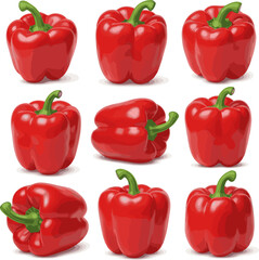 Create a kinds of deferent realistic fresh red bell pepper stands alone, featuring its vibrant color and green stem image is ideal for diverse design projects. vector art with white background.
