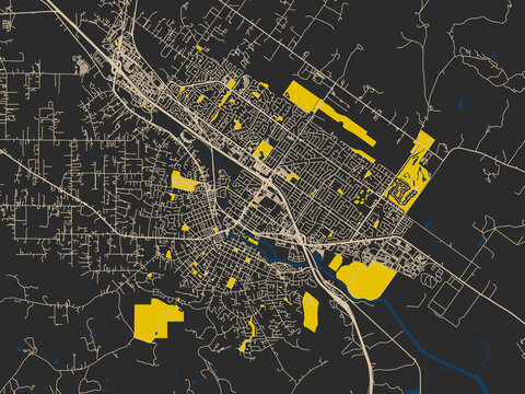 Abstract city map of Petaluma, California