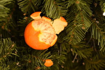 Horizontal photo: mandarin partially peeled, skin pulled halfway but not fully removed.