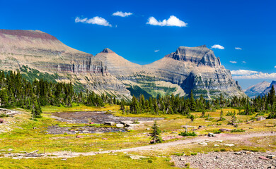 Going-to-the-Sun Mountain and meltwater pond at Hidden Lake Pass in Glacier National Park