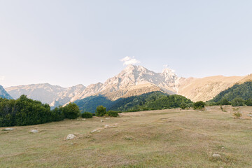 Naklejka premium Mountain meadow landscape with valley and rocky peaks under clear sky, nature scene with grassy field, distant forested slopes and soft sunlight over alpine terrain.