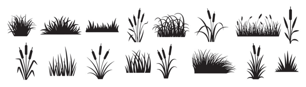 black silhouettes of various grass and cattail plants