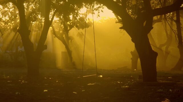 Dark tree trunks frame the image, their branches forming a natural arch around a simple rope swing that hangs motionless in the center.The overall atmosphere feels dreamlike and cinematic.