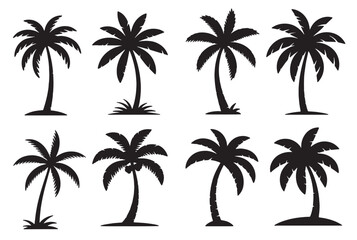 Fototapeta premium collection of black silhouette palm trees on a white background