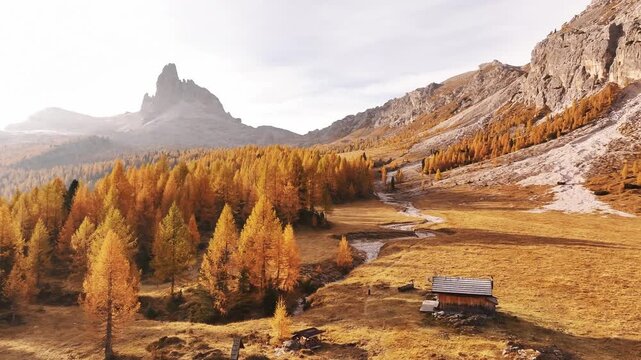 Picturesque yellow larches orange colored. Croda da Lago mountain at background, majestic landscape at autumn time.