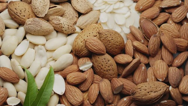 Shelled almonds; peeled almonds and almond slices with almond tree leaves are slowly rotated in a circle.