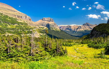 Going-to-the-Sun Mountain and lush alpine meadow in Glacier National Park