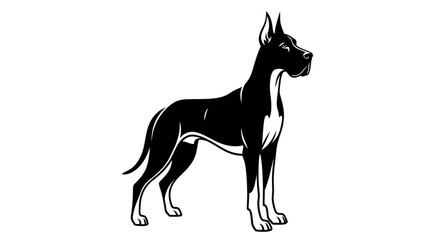 Elegant black and white dog illustration isolated on white background