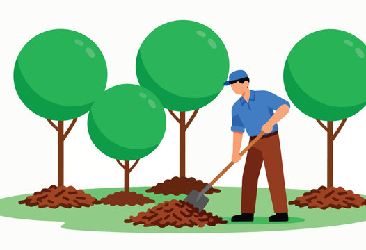 Person digging around a mulched tree base with a shovel